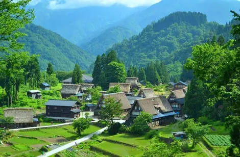 Maisons traditionnelles du village de Gokayama, dans la région de Takayama Maisons traditionnelles du village de Gokayama, dans la région de Takayama