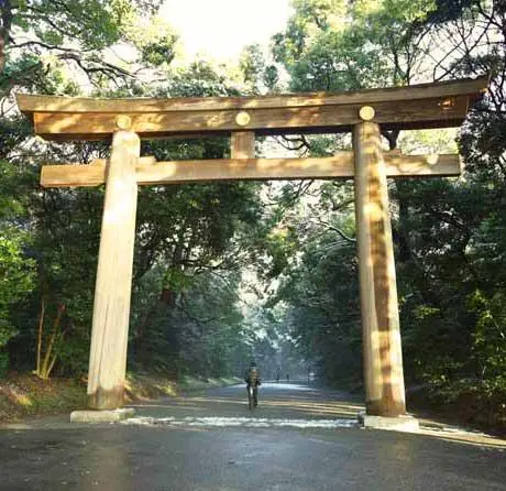 Torii of Meiji Jingu