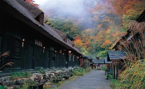 Les bassins du onsen Tsurunoyu, leurs toits de chaume, et les couleurs des érables en arrière-plan.