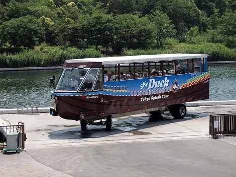 Une fois sorti de l'eau, le Sky Duck redevient un bus presque comme les autres. 