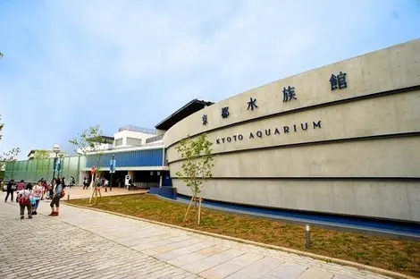 Inaugurato nel 2012, l'Acquario di Kyoto ha oltre 250 specie diverse.