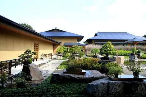 Ōmiya Bonsai Village in Saitama City is home to a museum and multiple private gardens Ōmiya Bonsai Village in Saitama City is home to a museum and multiple private gardens