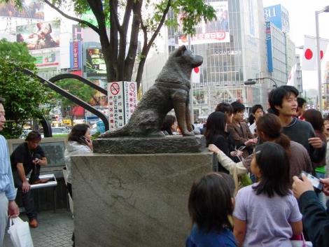 Hachikô, le chien à la statue de bronze, à Shibuya, Tokyo.