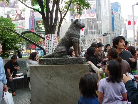 Hachikô, le chien à la statue de bronze, à Shibuya, Tokyo. Hachikô, le chien à la statue de bronze, à Shibuya, Tokyo.