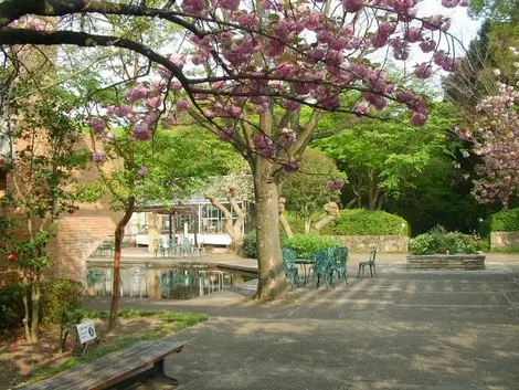 Suma Rikyu Park