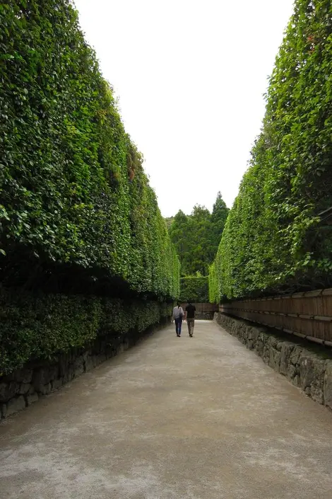 The entrance of the Silver Pavilion bordered by bamboo.