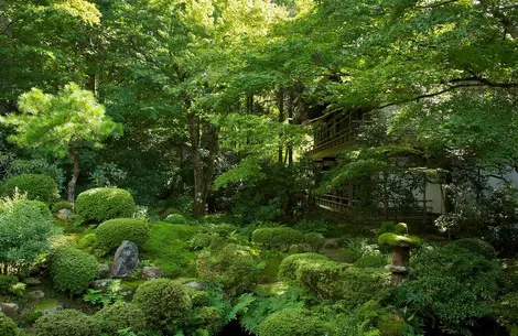 The Buddhist temple Sanzen-in is at the foot of Mount Hiei, near Kyoto.