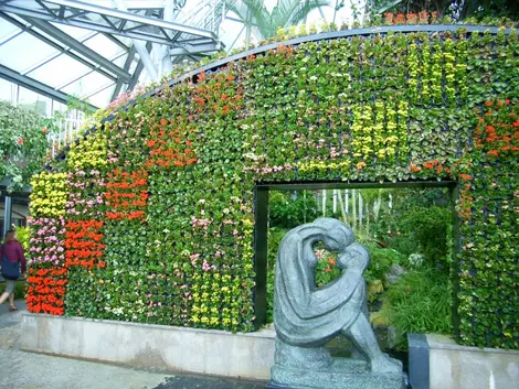 The interior of Nunobiki floral park in Kobe.