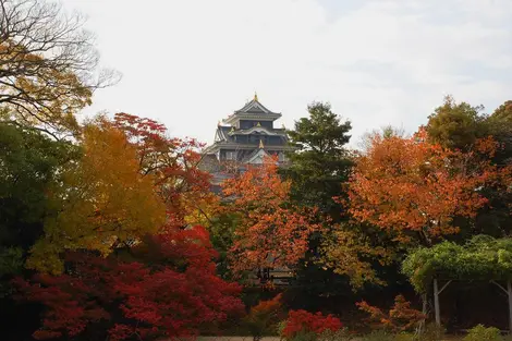 L'Okayama-jô au moment du kôyô