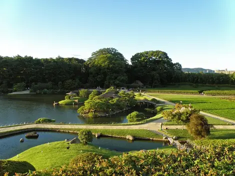 Las colinas del jardín.