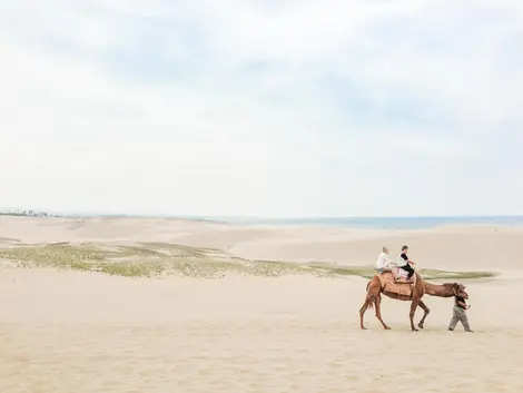Sahara ou Japon ? Sahara ou Japon ?