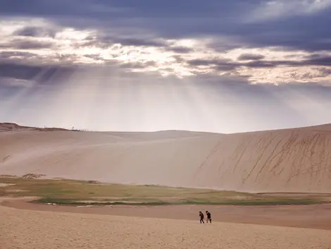 Les dunes de Tottori Les dunes de Tottori