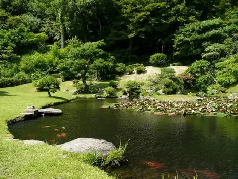 Le jardin du Kannon-in Le jardin du Kannon-in