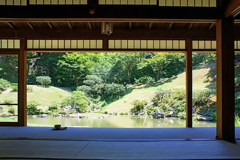 Vue du jardin depuis la véranda