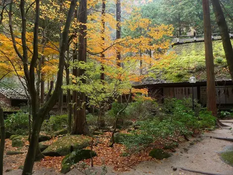 L'auberge Mitaki En à l'heure du kôyô