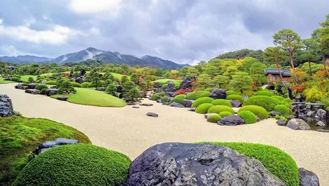 Le jardin des pierres et de pins