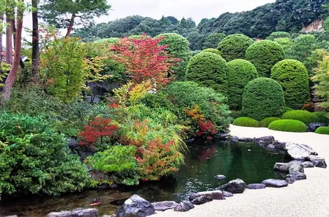 El agua y los peces de sus estanques hacen de este jardín una pintura viviente. 