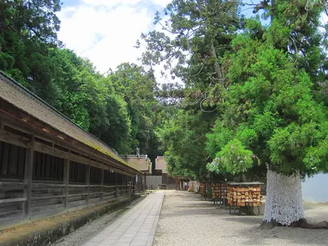 Los jukusha del Izumo Taisha donde vienes los kami en noviembre. Los jukusha del Izumo Taisha donde vienes los kami en noviembre.