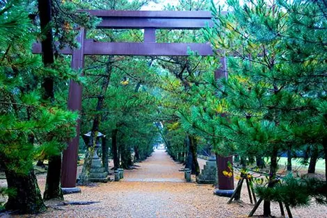 La voie centrale pour arriver à l'Izumo Taisha