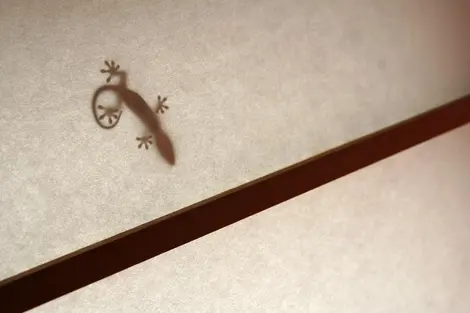 Un petit lézard sur un shôji Un petit lézard sur un shôji