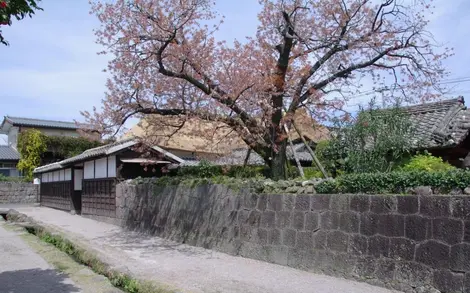 Rue traditionnelle de Shimabara Rue traditionelle