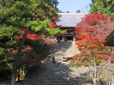 Jingoji Jingoji
