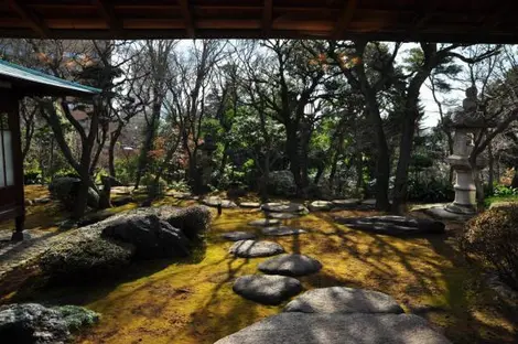 El jardín de musgo de la residencia Asakura. El jardín de musgo de la residencia Asakura.