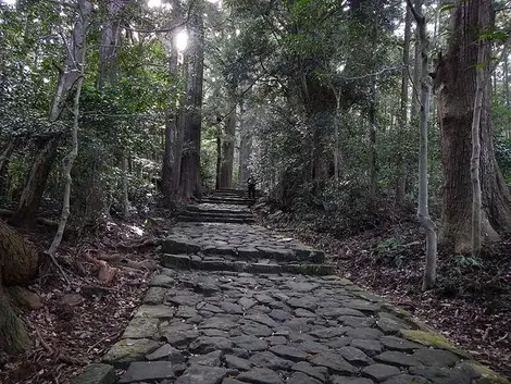 La route pavée du Daimonzaka mène aux sites de Nachi.