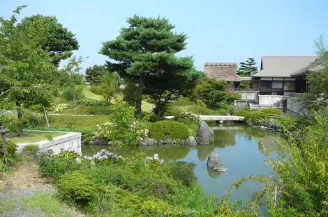 jardin de thé