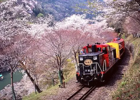 torokko au printemps