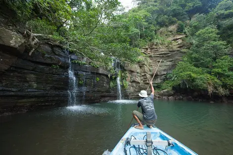 La selva de la isla Iriomote