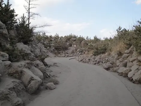 Un chemin recouvert de cendre sur le Sakurajima Un chemin recouvert de cendre sur le Sakurajima
