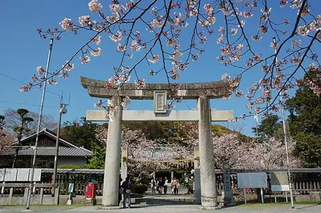 Le torii du sanctuaire de Terumo Le torii du sanctuaire de Terumo