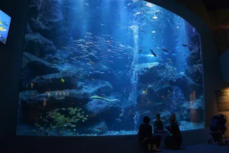 Tokyo Sumida Aquarium