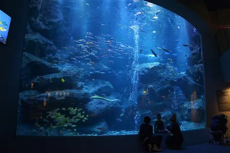 Tokyo Sumida Aquarium Tokyo Sumida Aquarium