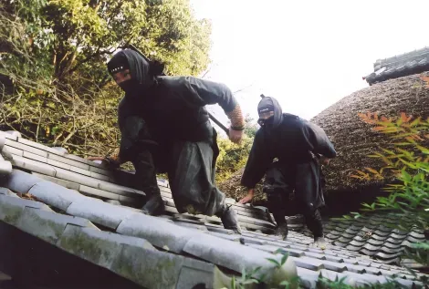 Ninjas en acción en el Togakure.