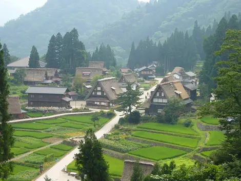 El pueblo de Suganuma encantado por la bruma.