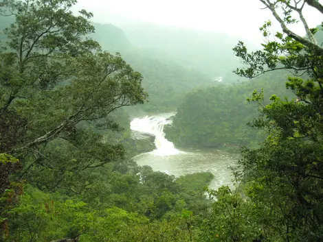 Las cascadas Kampire del río Urauchi en Iriomote