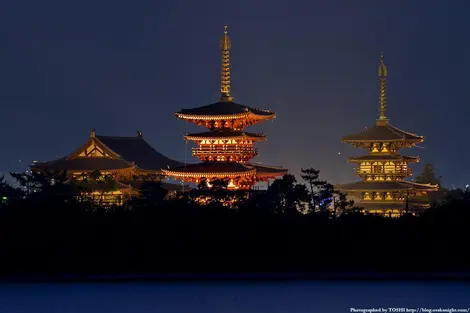 le toto du Yakushi-ji le toto du Yakushi-ji