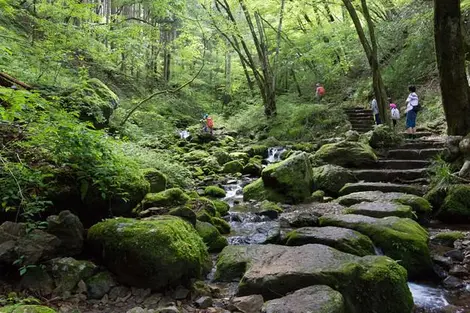 Le petit chemin montant vers le sommet du Mont Mitake