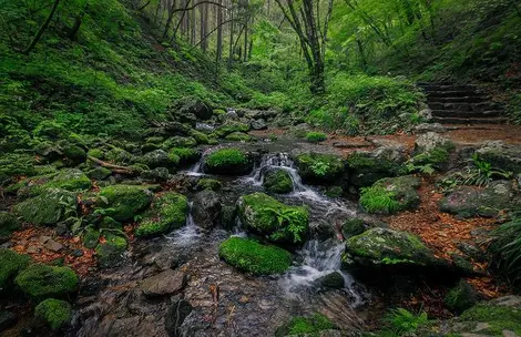 Un autre endroit de la montée vers le sommet du Mitake