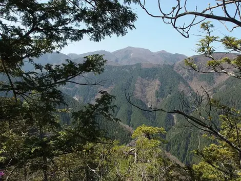 Une des vues sur la montagne depuis le Mitake Une des vues sur la montagne depuis le Mitake