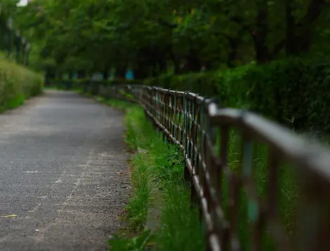 Les allées du Minami Temma Park