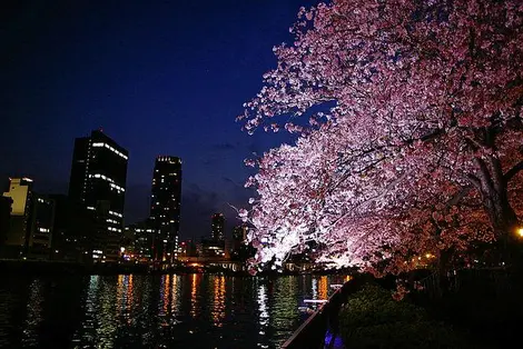 Le parc Minami Temma de nuit