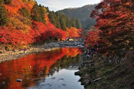 La impresionante vista del puente Taigetsukyo y los arces de  Korankei.