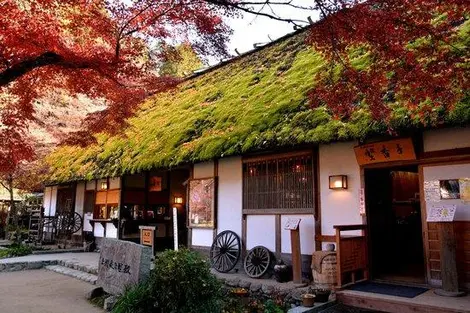 El museo Sanshu Asuke Yashiki. El museo Sanshu Asuke Yashiki.