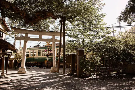 Devant le sanctuaire Goryo-jinja