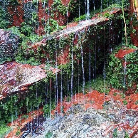 Lors de la balade, des filets d'eau ruissellent le long des pierres qui bordent le chemin.