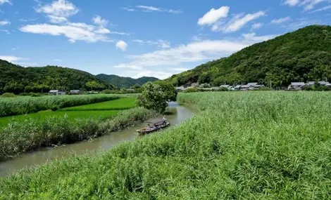 Los paseos pasan por el campo hasta el lago Nishinoko.