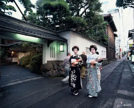 Des geiko à Niigata